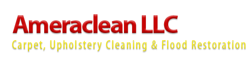 Carpet cleaning services in northern Virginia- Ame